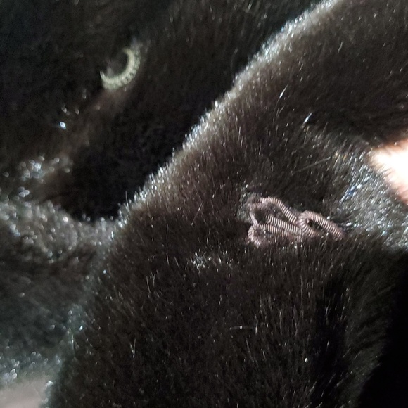 VINTAGE TISSAVEL OF FRANCE BROWN VEGAN FAUX FUR SHORT COAT FRENCH FRANCE MOBWIFR - Picture 11 of 11